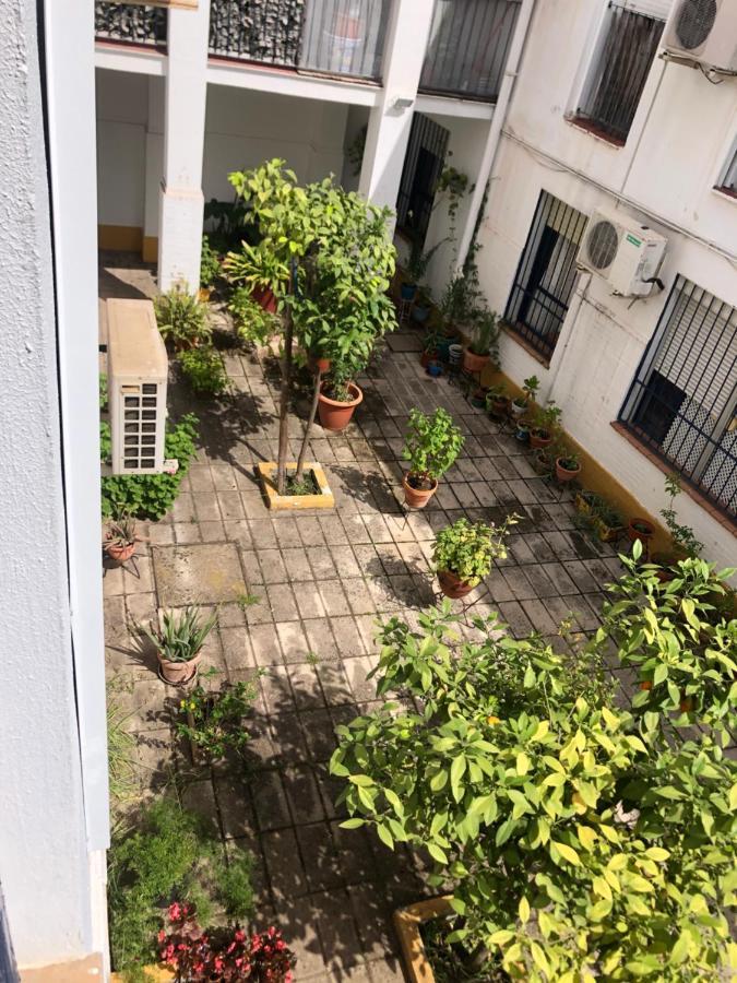 Apartamento Plaza Santa Lucia Renovado Febrero 2025 塞维利亚 外观 照片